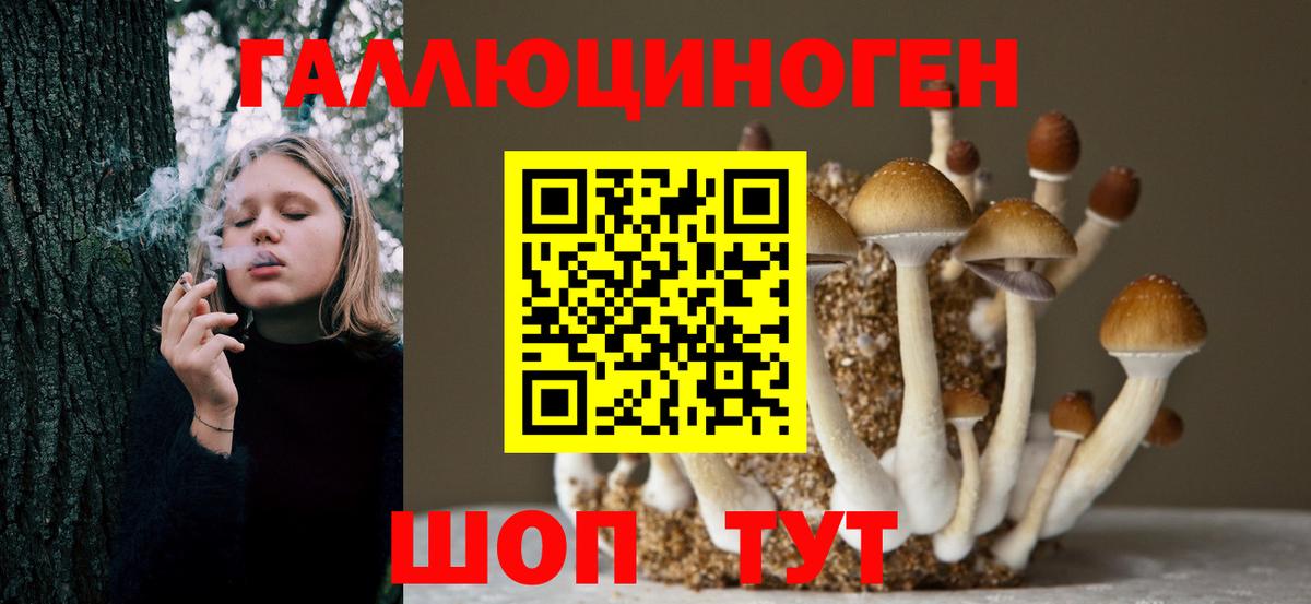 Ханты-Мансийск  Галлюциногенные грибы Cubensis  Вход с VPN  Псилоцибиновые грибы Magic Shrooms 